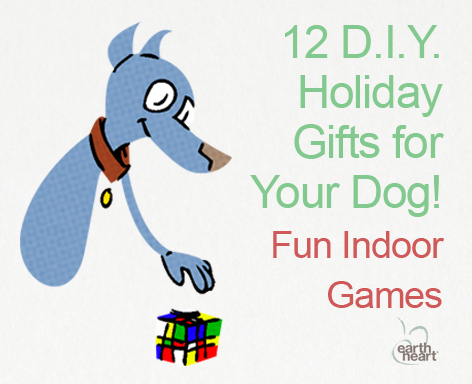Great DIY Holiday Gifts for Your Dog-Indoor Games on www.BarkandSwagger.com
