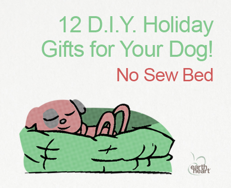 The no-sew DIY dog bed in my DIY Holiday Gifts for Your Dog series. On www.BarkandSwagger.com