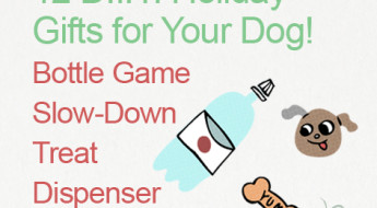 Great DIY Holiday Gifts for Your Dog. A bottle game treat dispenser on www. BarkandSwagger.com