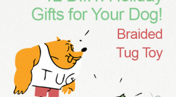 Great DIY Holiday gifts for your dog. A braided tug toy. On www.BarkandSwagger.com