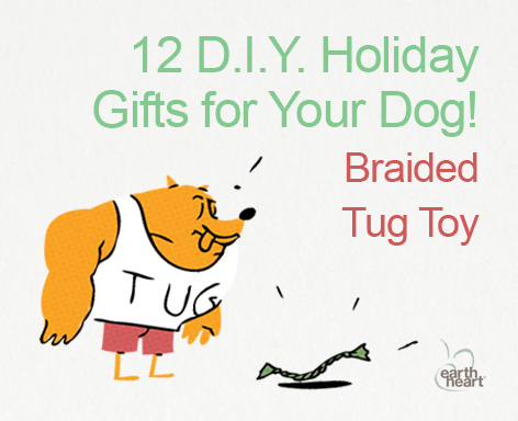 Great DIY Holiday gifts for your dog. A braided tug toy. On www.BarkandSwagger.com