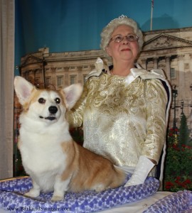 Westminster announces new AKC breeds for 2015 on www.BarkandSwagger.com