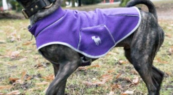 Eco-friendly dog coats by Buggsly Black Label on www.barkandswagger.com