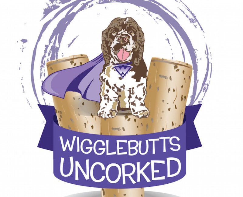 Cocker spaniel rescue and party with Wigglebutt Warriors