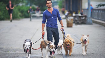 top dog training tips from CBS-TV star Justin Silver