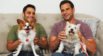 top dog training tips from CBS-TV star trainer Justin Silver