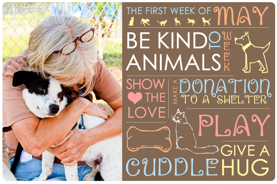 Be Kind to Animals Week Turns 100!
