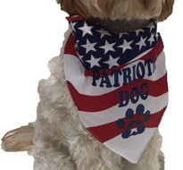 Fun dog bandanas to keep your pup stylish and cool.