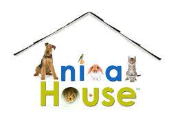 Animal House TV can help animal shelters save lives. Find out how.