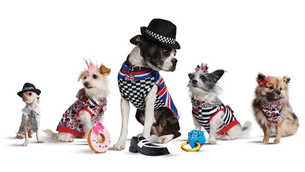 Gwen Stefani Launches Harajuku Lovers Clothing Line for Pets