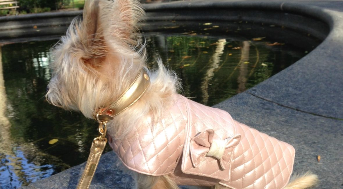 Vogue's fashion trends for fall and how to interpret for our dogs. Candy colors-pearlized Rose Quartz dog coat.