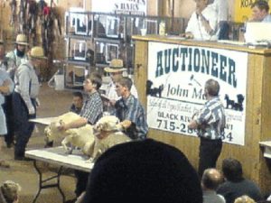 How different are breeders from dog rescue groups? Less than you think. Dog auctions are a part of the money trail.