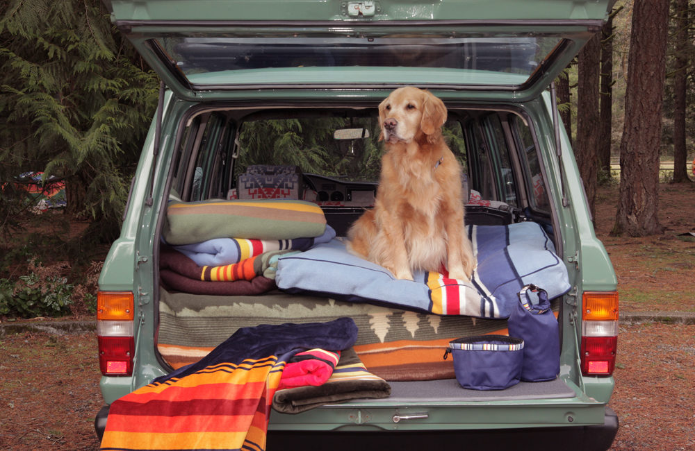 Pendleton wool dog clothing and accessories are beautiful. Here, Pendleton for the traveling pup