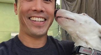 Saving dogs from the meat trade, Marc Ching's story