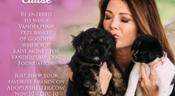 Shop for a cause to help shelter animals. Lisa Vanderpump banner.