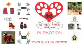 Valentines Day giveaways for pets and pet lovers.