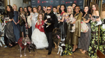 The New York Fashion Week show fit for the dogs. A group shot after Anthony Rubio's show.