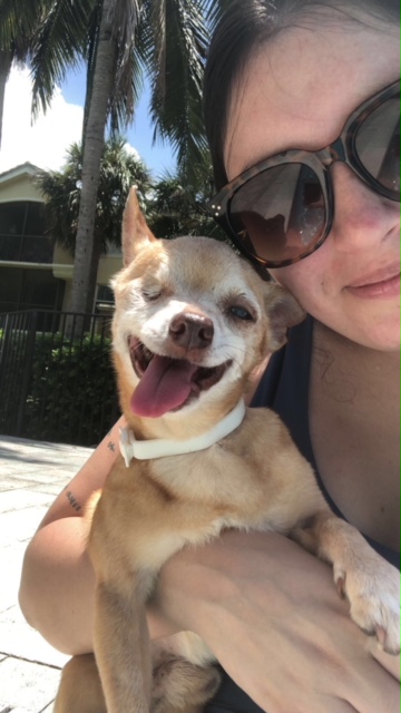 Lost senior dog, Charlie, is all smiles in the arms of his mom, Val.